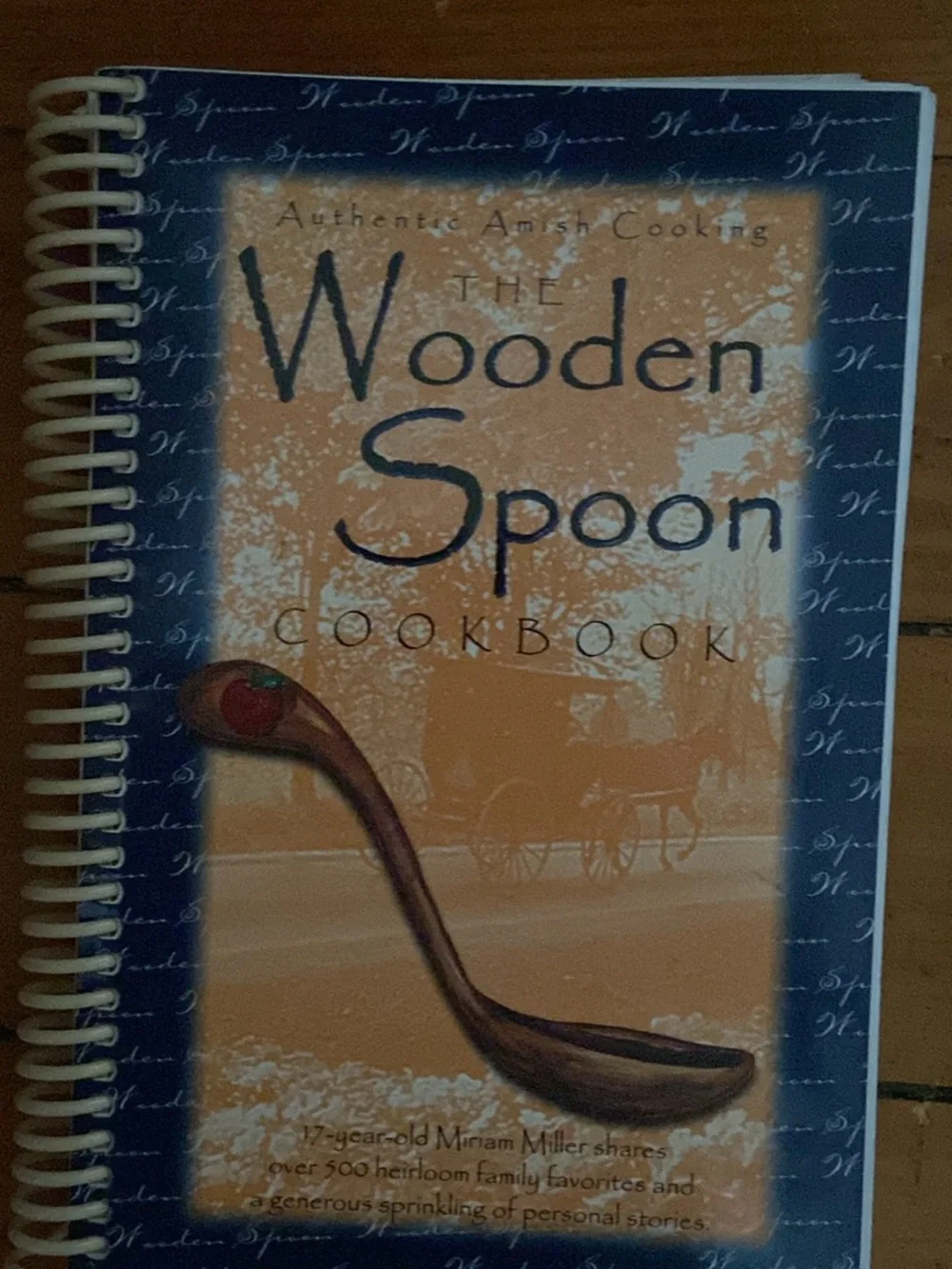 Vintage Amish spiral Cookbook cookies pie cake dessert main meals baking cooking